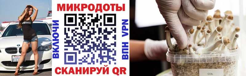 Галлюциногенные грибы мицелий  Купить  Тулун 
